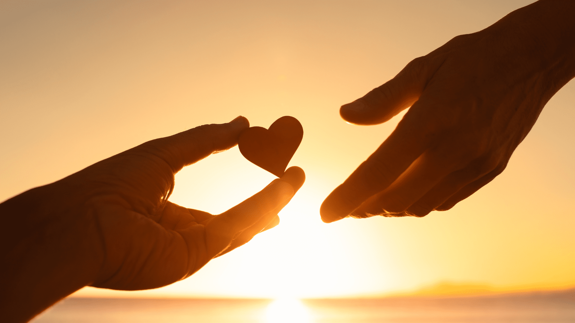 Thiet ke chua co ten 3