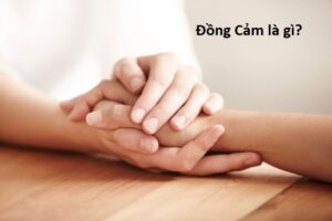 dong cam la gi